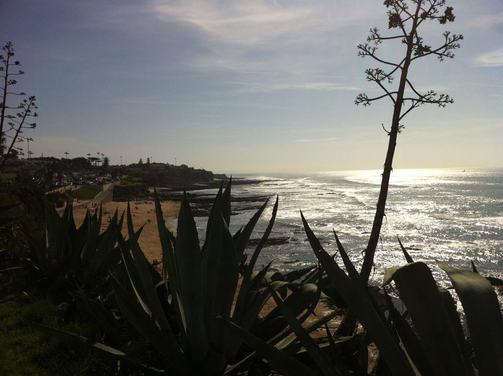 Beach Warehouse S.Pedro Estoril Daire Oda fotoğraf