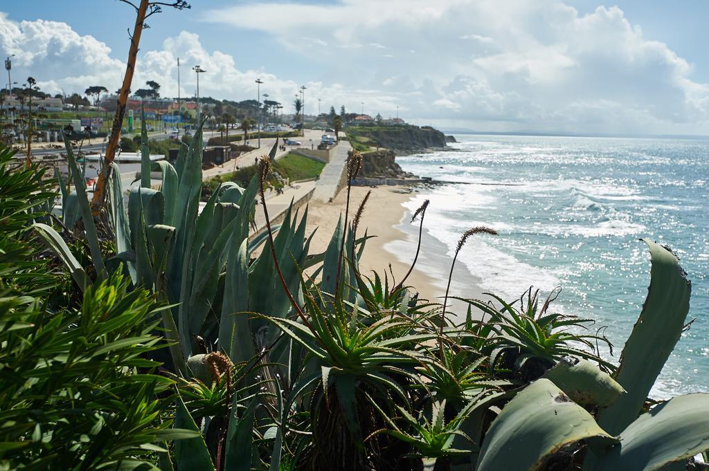 Beach Warehouse S.Pedro Estoril Daire Dış mekan fotoğraf